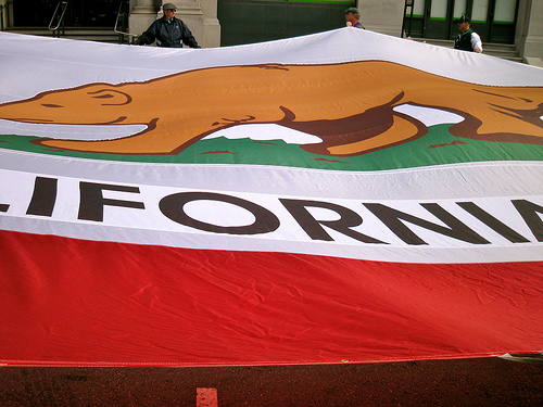 California Bear Flag